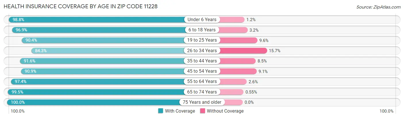 Health Insurance Coverage by Age in Zip Code 11228