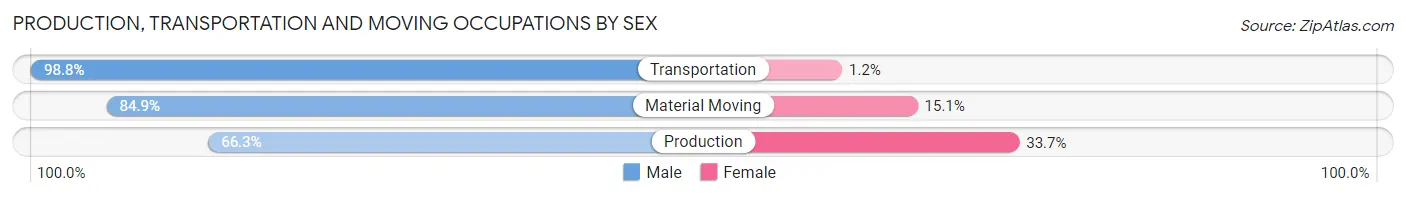 Production, Transportation and Moving Occupations by Sex in Zip Code 11228
