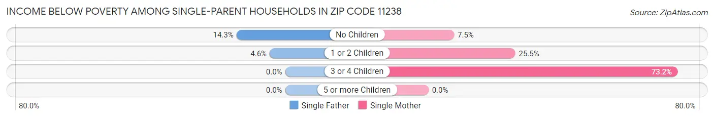 Income Below Poverty Among Single-Parent Households in Zip Code 11238