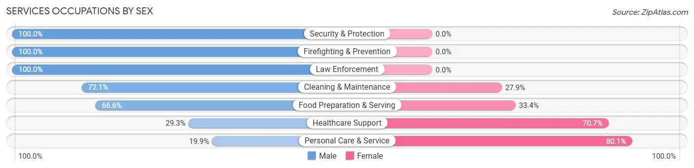 Services Occupations by Sex in Zip Code 11249