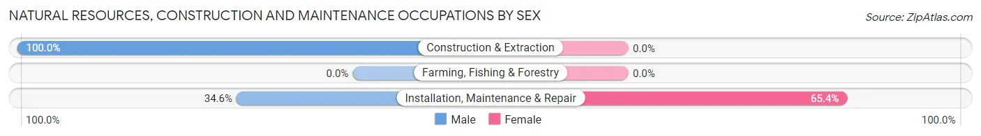Natural Resources, Construction and Maintenance Occupations by Sex in Zip Code 11360