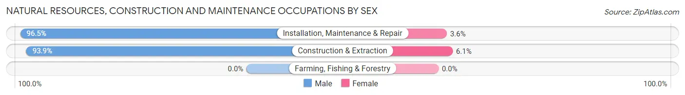 Natural Resources, Construction and Maintenance Occupations by Sex in Zip Code 11361