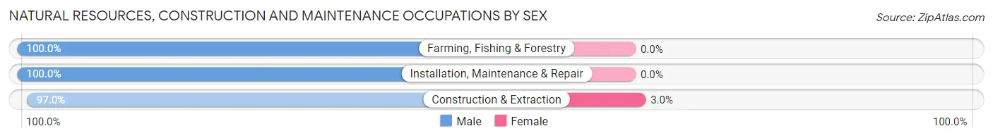 Natural Resources, Construction and Maintenance Occupations by Sex in Zip Code 11368