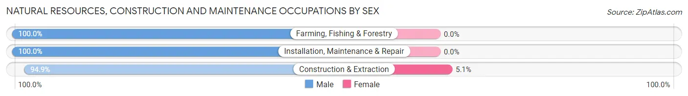 Natural Resources, Construction and Maintenance Occupations by Sex in Zip Code 11421