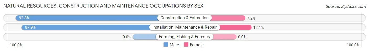 Natural Resources, Construction and Maintenance Occupations by Sex in Zip Code 11423