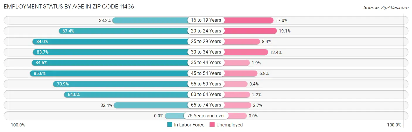 Employment Status by Age in Zip Code 11436