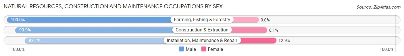 Natural Resources, Construction and Maintenance Occupations by Sex in Zip Code 11436