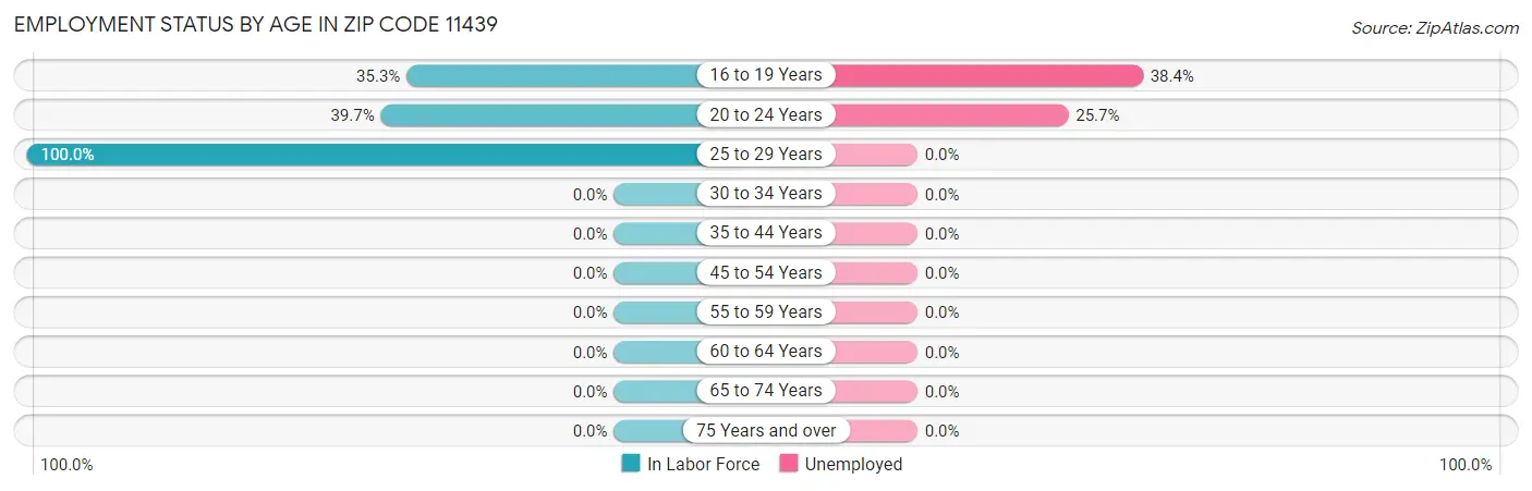 Employment Status by Age in Zip Code 11439