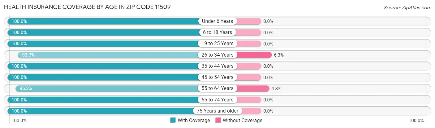 Health Insurance Coverage by Age in Zip Code 11509