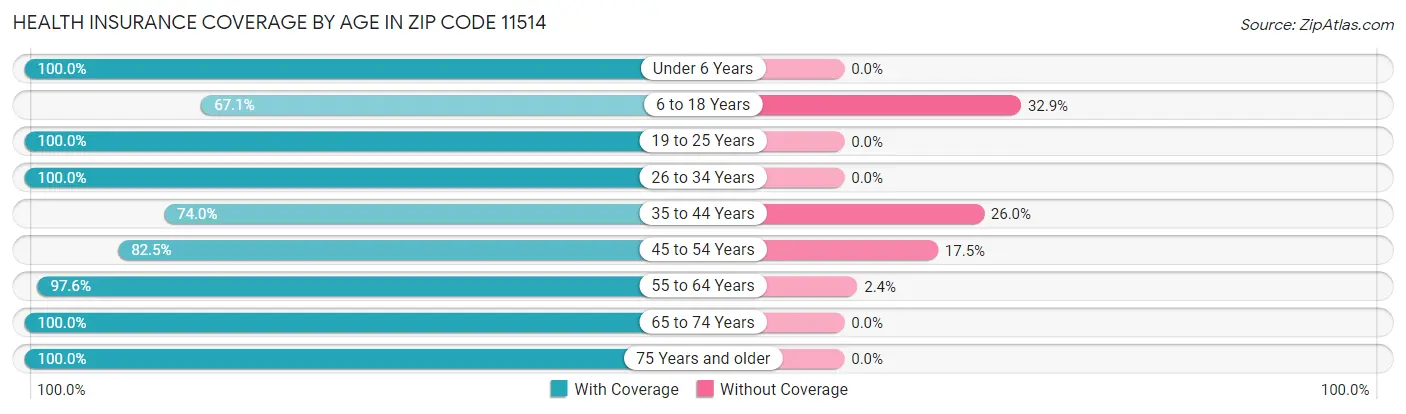 Health Insurance Coverage by Age in Zip Code 11514
