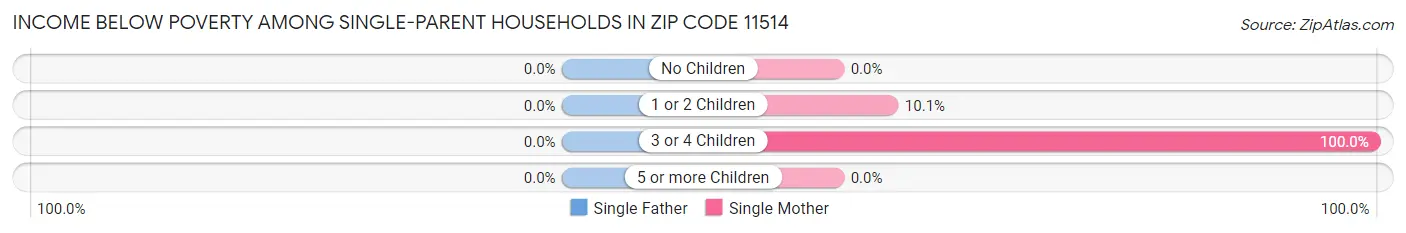 Income Below Poverty Among Single-Parent Households in Zip Code 11514