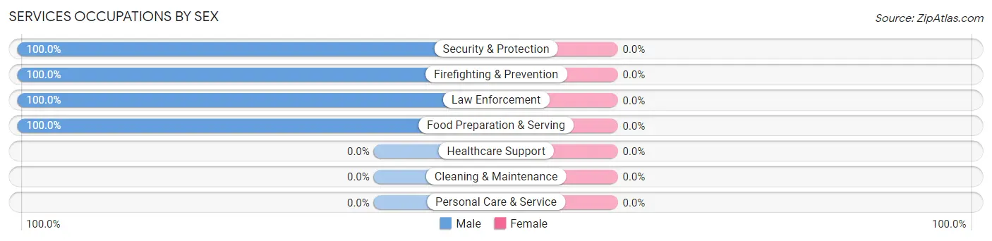 Services Occupations by Sex in Zip Code 11569