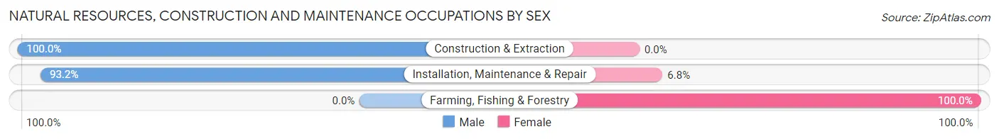 Natural Resources, Construction and Maintenance Occupations by Sex in Zip Code 11701