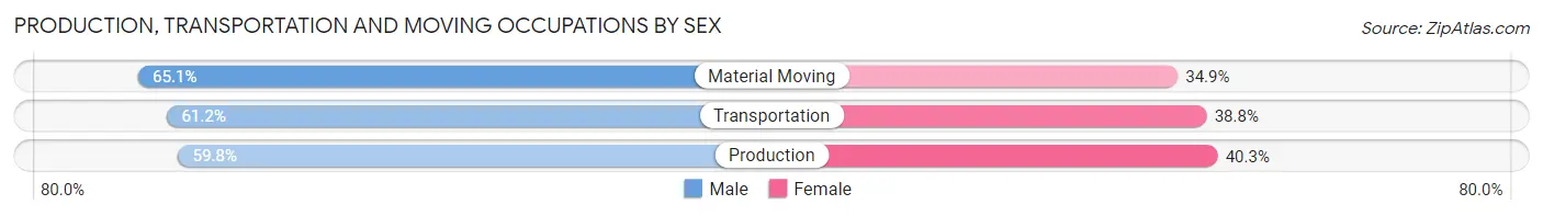 Production, Transportation and Moving Occupations by Sex in Zip Code 11701