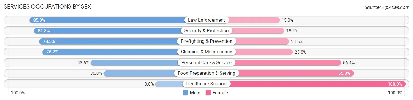Services Occupations by Sex in Zip Code 11702