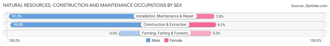 Natural Resources, Construction and Maintenance Occupations by Sex in Zip Code 11710