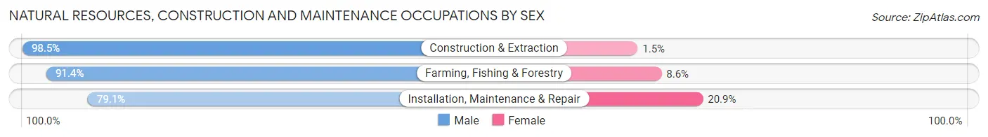 Natural Resources, Construction and Maintenance Occupations by Sex in Zip Code 11713