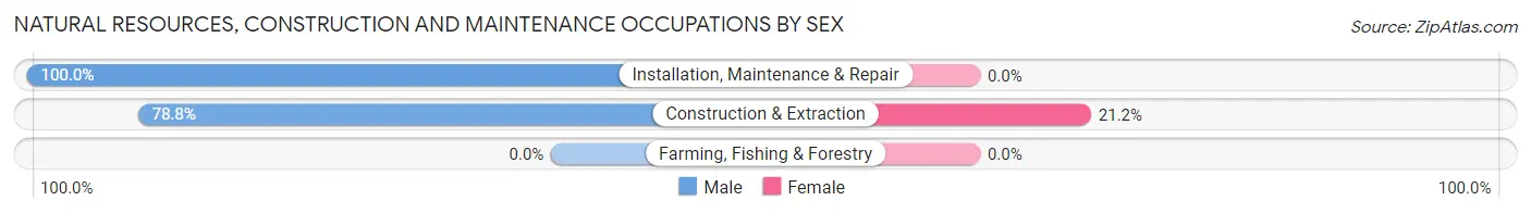 Natural Resources, Construction and Maintenance Occupations by Sex in Zip Code 11718