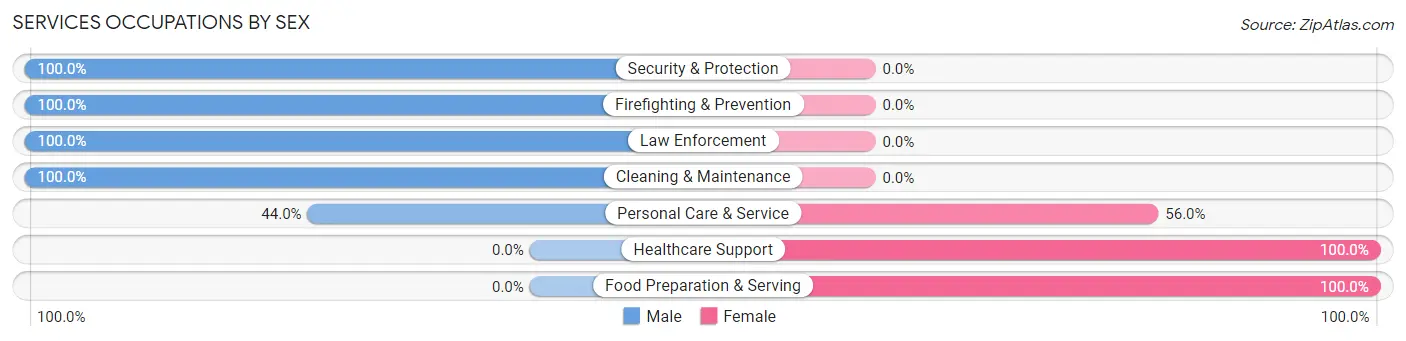 Services Occupations by Sex in Zip Code 11732