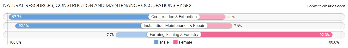 Natural Resources, Construction and Maintenance Occupations by Sex in Zip Code 11741