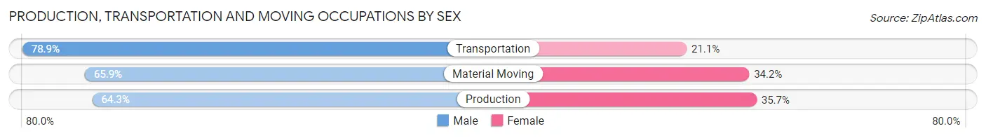 Production, Transportation and Moving Occupations by Sex in Zip Code 11742