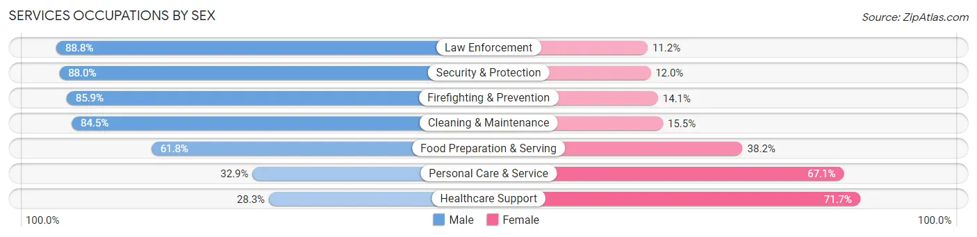 Services Occupations by Sex in Zip Code 11746