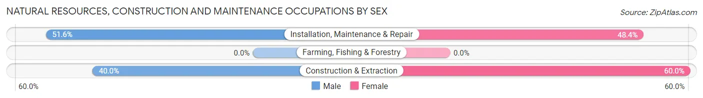 Natural Resources, Construction and Maintenance Occupations by Sex in Zip Code 11753