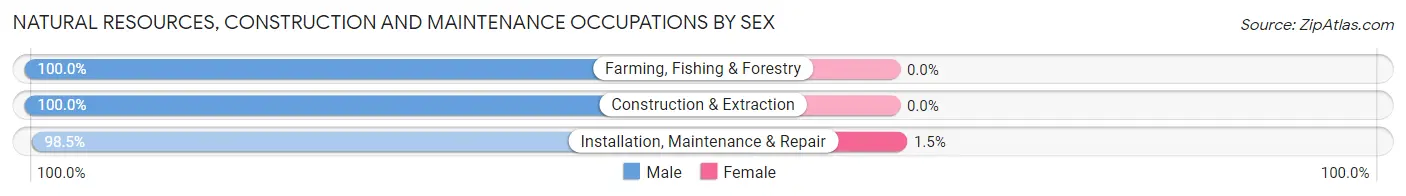 Natural Resources, Construction and Maintenance Occupations by Sex in Zip Code 11757