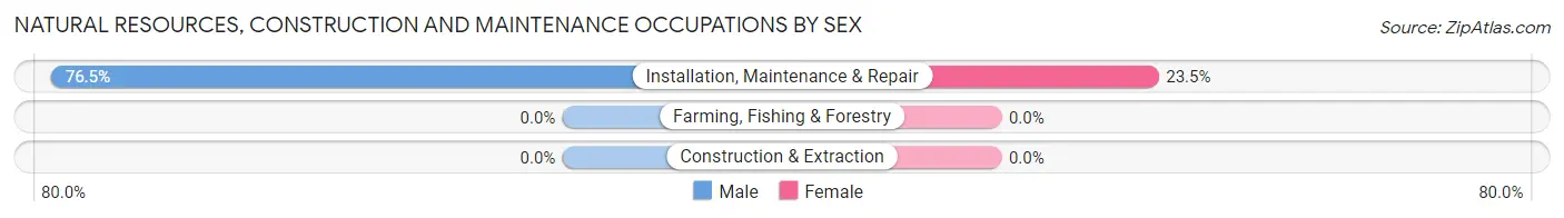 Natural Resources, Construction and Maintenance Occupations by Sex in Zip Code 11770