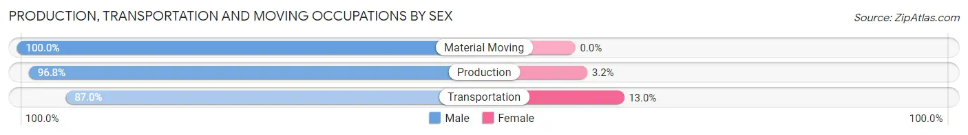 Production, Transportation and Moving Occupations by Sex in Zip Code 11789