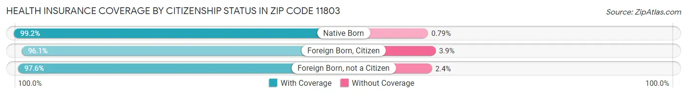 Health Insurance Coverage by Citizenship Status in Zip Code 11803