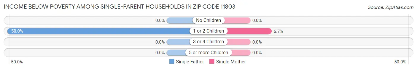 Income Below Poverty Among Single-Parent Households in Zip Code 11803