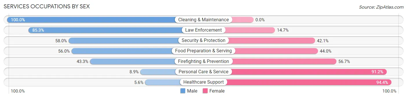 Services Occupations by Sex in Zip Code 11803
