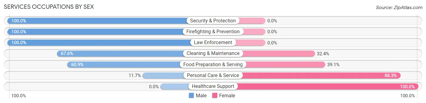 Services Occupations by Sex in Zip Code 11933