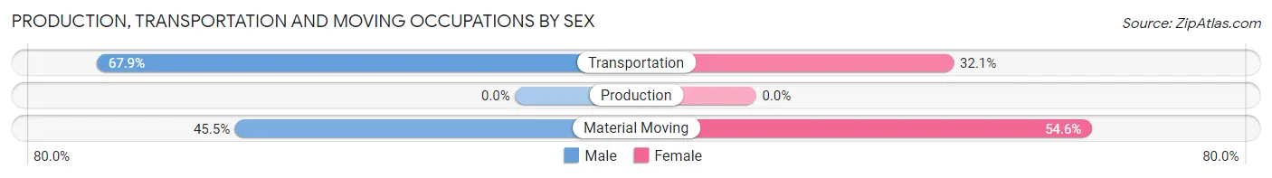 Production, Transportation and Moving Occupations by Sex in Zip Code 11941