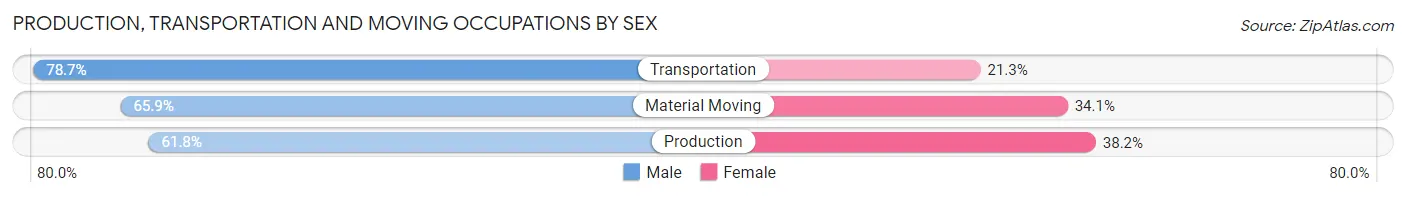 Production, Transportation and Moving Occupations by Sex in Zip Code 11953