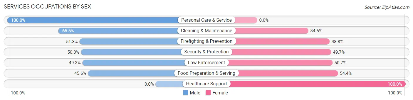 Services Occupations by Sex in Zip Code 11954