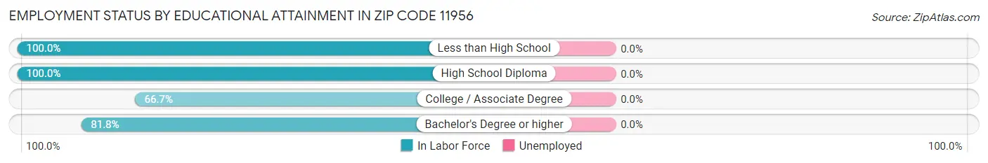 Employment Status by Educational Attainment in Zip Code 11956