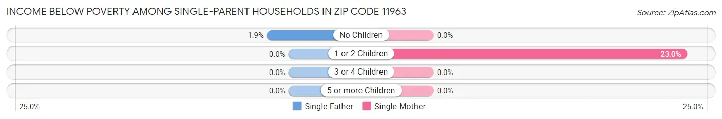 Income Below Poverty Among Single-Parent Households in Zip Code 11963