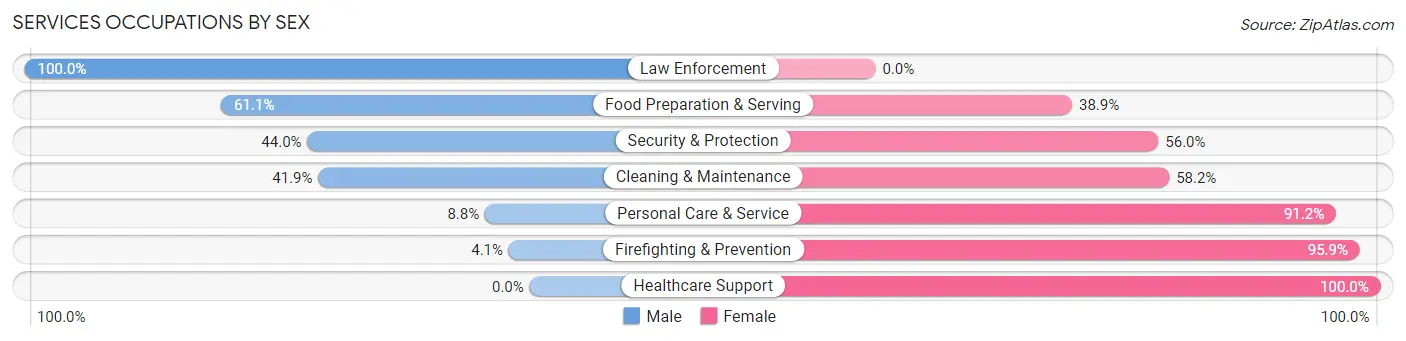 Services Occupations by Sex in Zip Code 11963