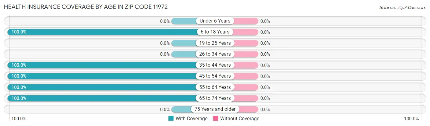 Health Insurance Coverage by Age in Zip Code 11972