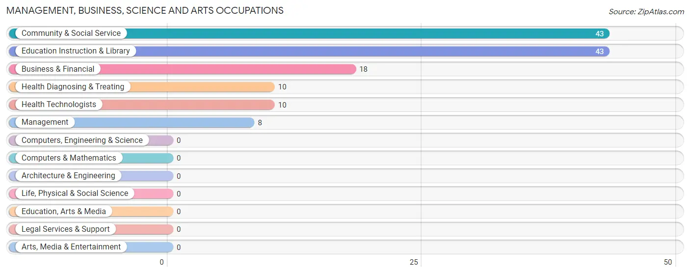 Management, Business, Science and Arts Occupations in Zip Code 12007