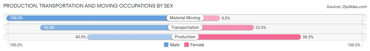 Production, Transportation and Moving Occupations by Sex in Zip Code 12022