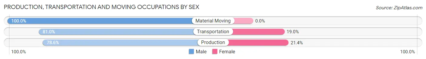 Production, Transportation and Moving Occupations by Sex in Zip Code 12023