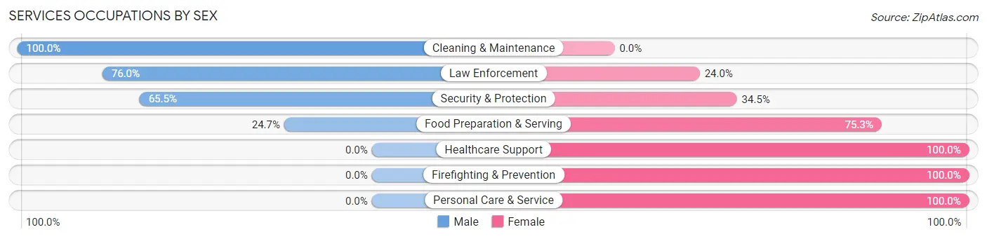 Services Occupations by Sex in Zip Code 12023