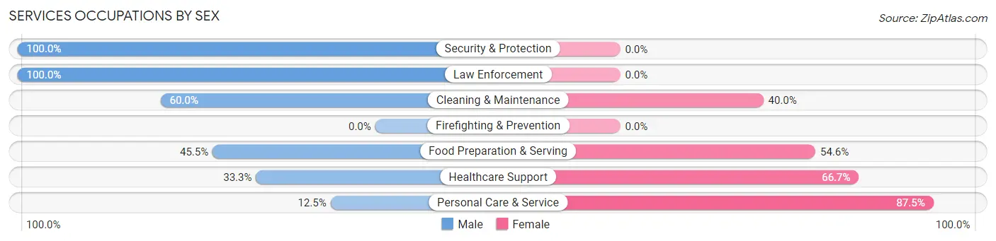 Services Occupations by Sex in Zip Code 12029