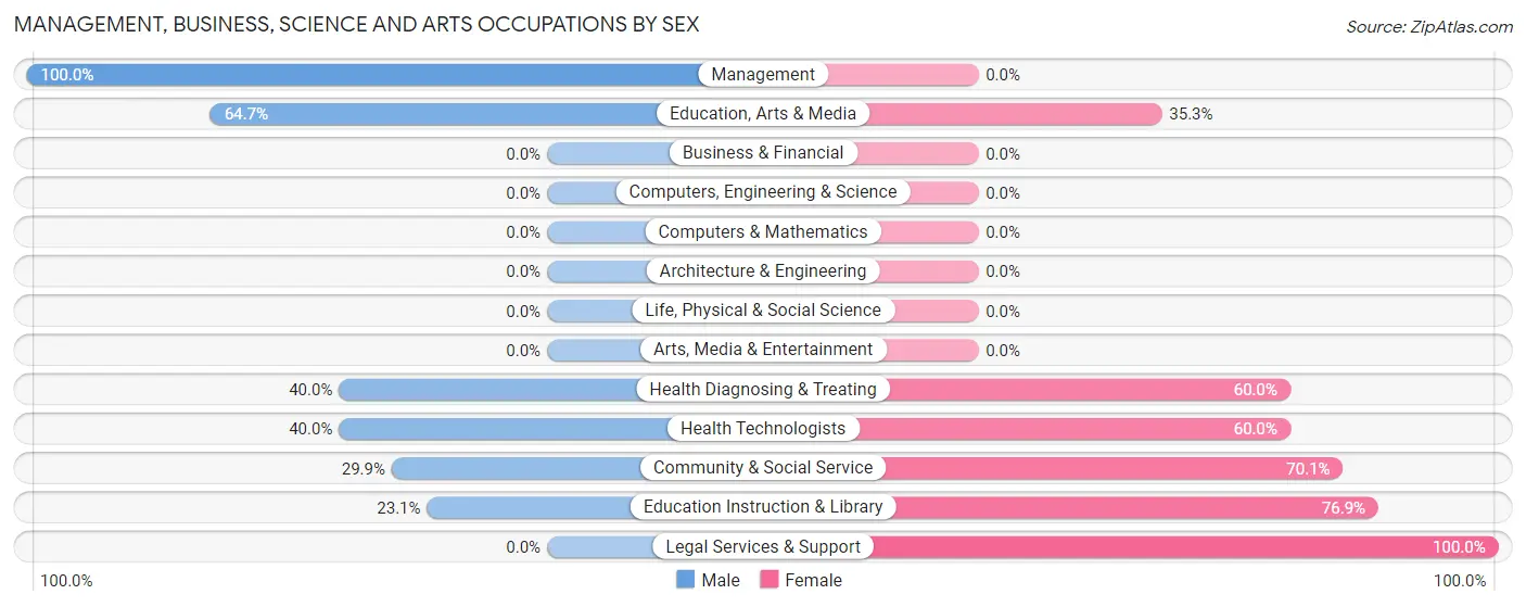 Management, Business, Science and Arts Occupations by Sex in Zip Code 12032