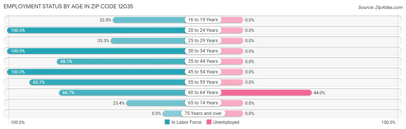 Employment Status by Age in Zip Code 12035