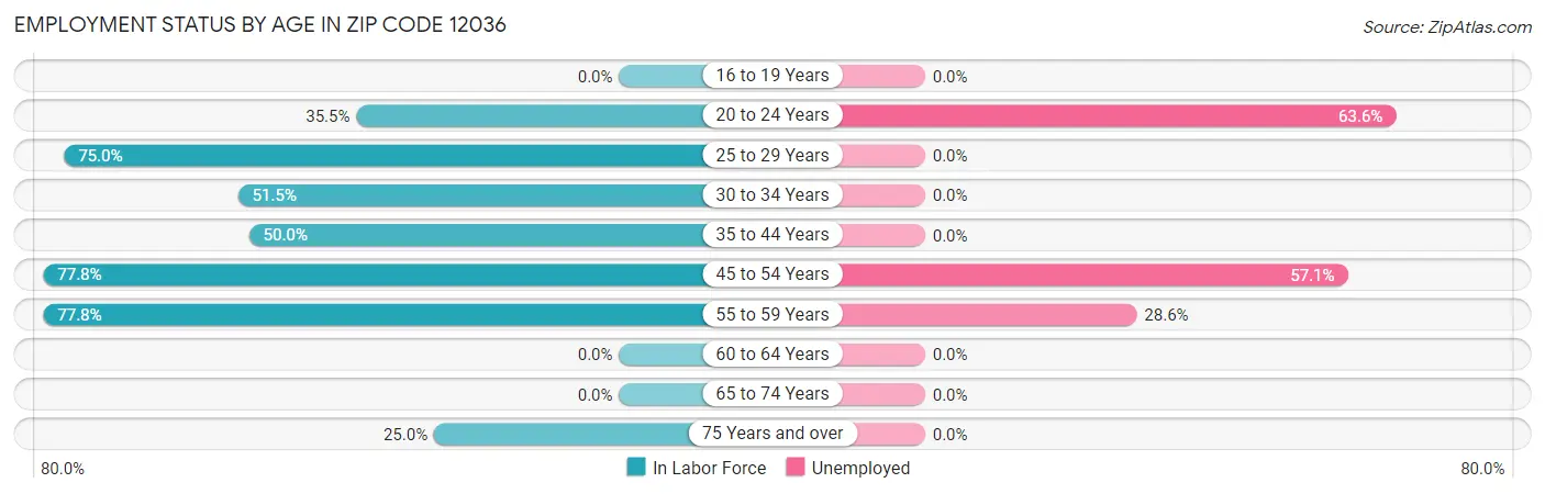 Employment Status by Age in Zip Code 12036