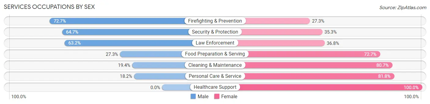Services Occupations by Sex in Zip Code 12037
